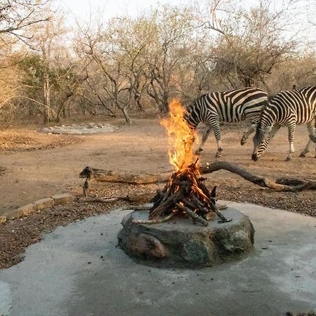 Hello Kruger Hideaway Cottage & Skilpad Studio Marloth Park Buitenkant foto