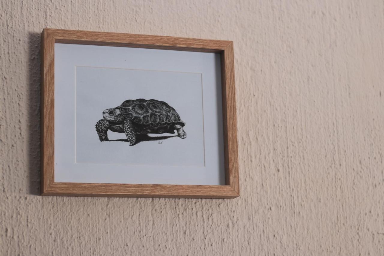 Hello Kruger Hideaway Cottage & Skilpad Studio Marloth Park Buitenkant foto