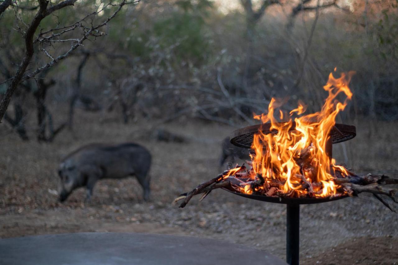 Hello Kruger Hideaway Cottage & Skilpad Studio Marloth Park Buitenkant foto
