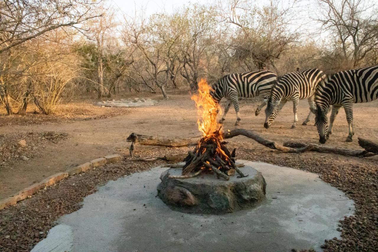 Hello Kruger Hideaway Cottage & Skilpad Studio Marloth Park Buitenkant foto