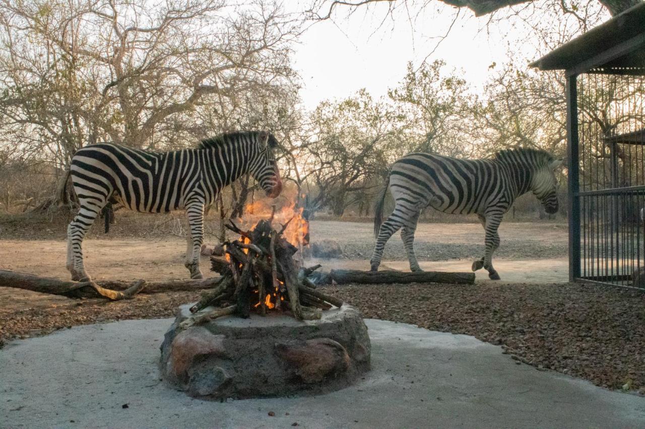 Hello Kruger Hideaway Cottage & Skilpad Studio Marloth Park Buitenkant foto