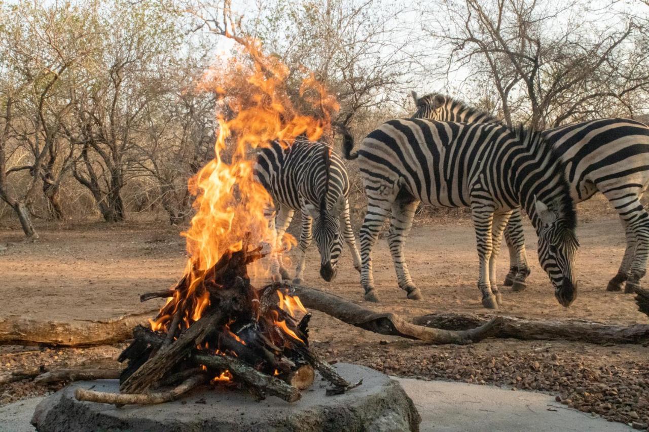 Hello Kruger Hideaway Cottage & Skilpad Studio Marloth Park Buitenkant foto